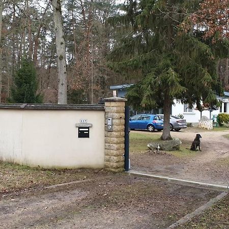 Etape Foret Fontainebleau Climb & Randonnees Arbonne المظهر الخارجي الصورة